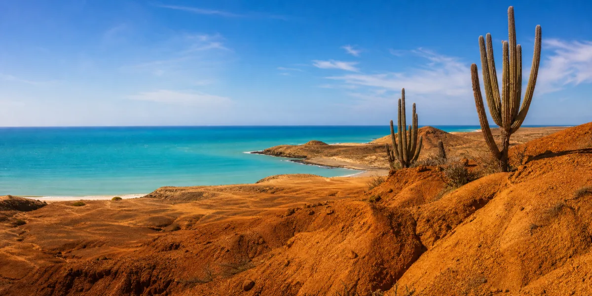 Desierto con cactus frente al mar turquesa en La Guajira
